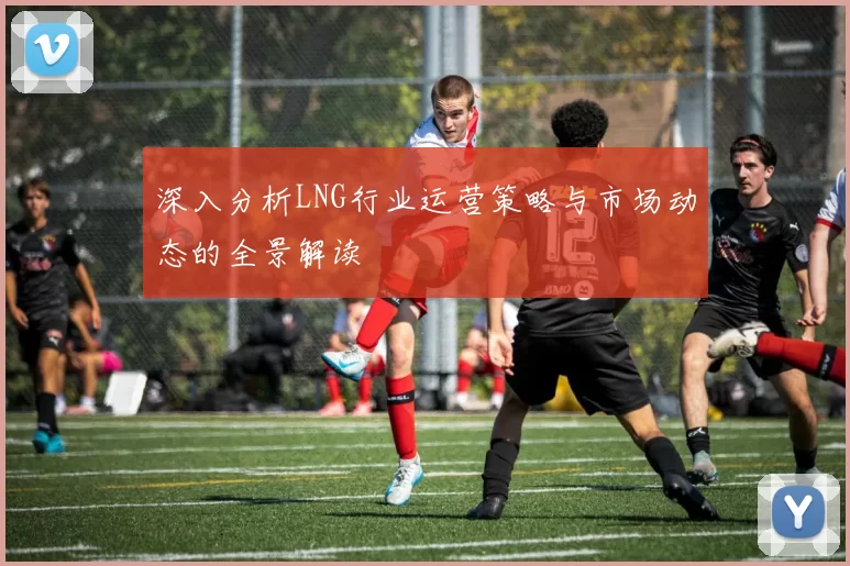 深入分析LNG行业运营策略与市场动态的全景解读